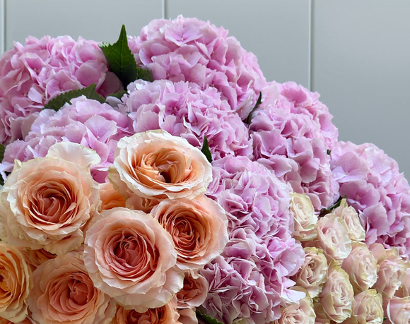 Rosa & Peach