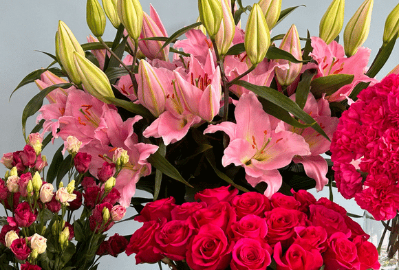 Rosa und Pink