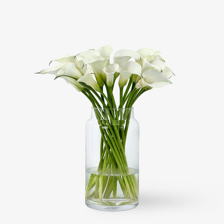 Calla weiss schenken – TOM FLOWERS
