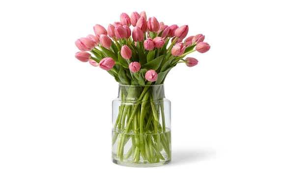 Tulpen