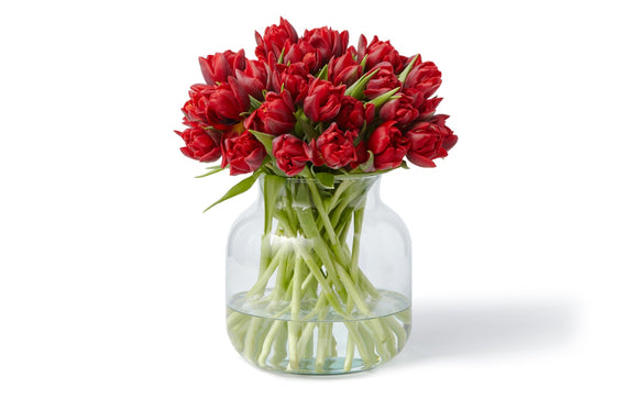 Doppelte Tulpen