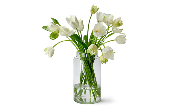Französische Tulpen