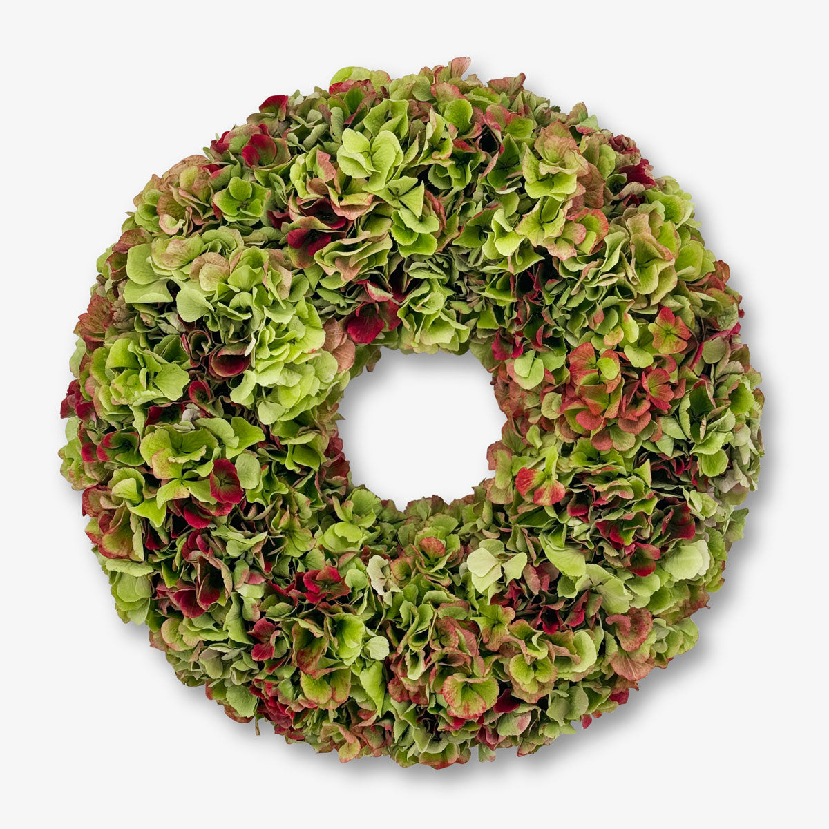Hortensien Kranz Pistachio online kaufen – TOM FLOWERS