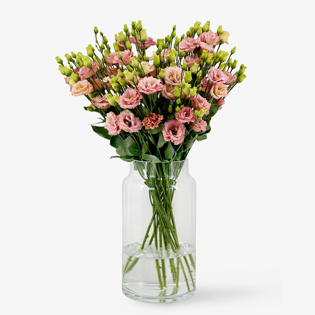 Lisianthus peach online bestellen und kaufen  TOM FLOWERS