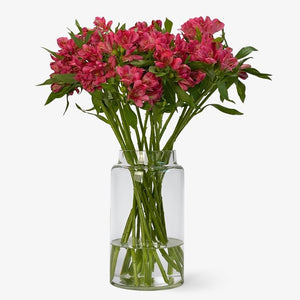 Alstromerien kirschpink