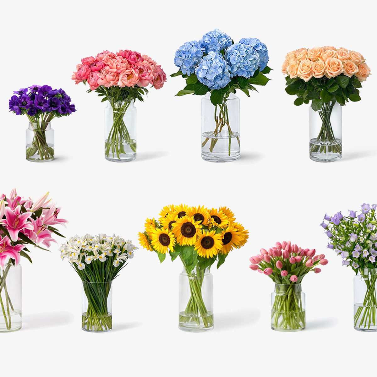 Blumen-Abo Standard