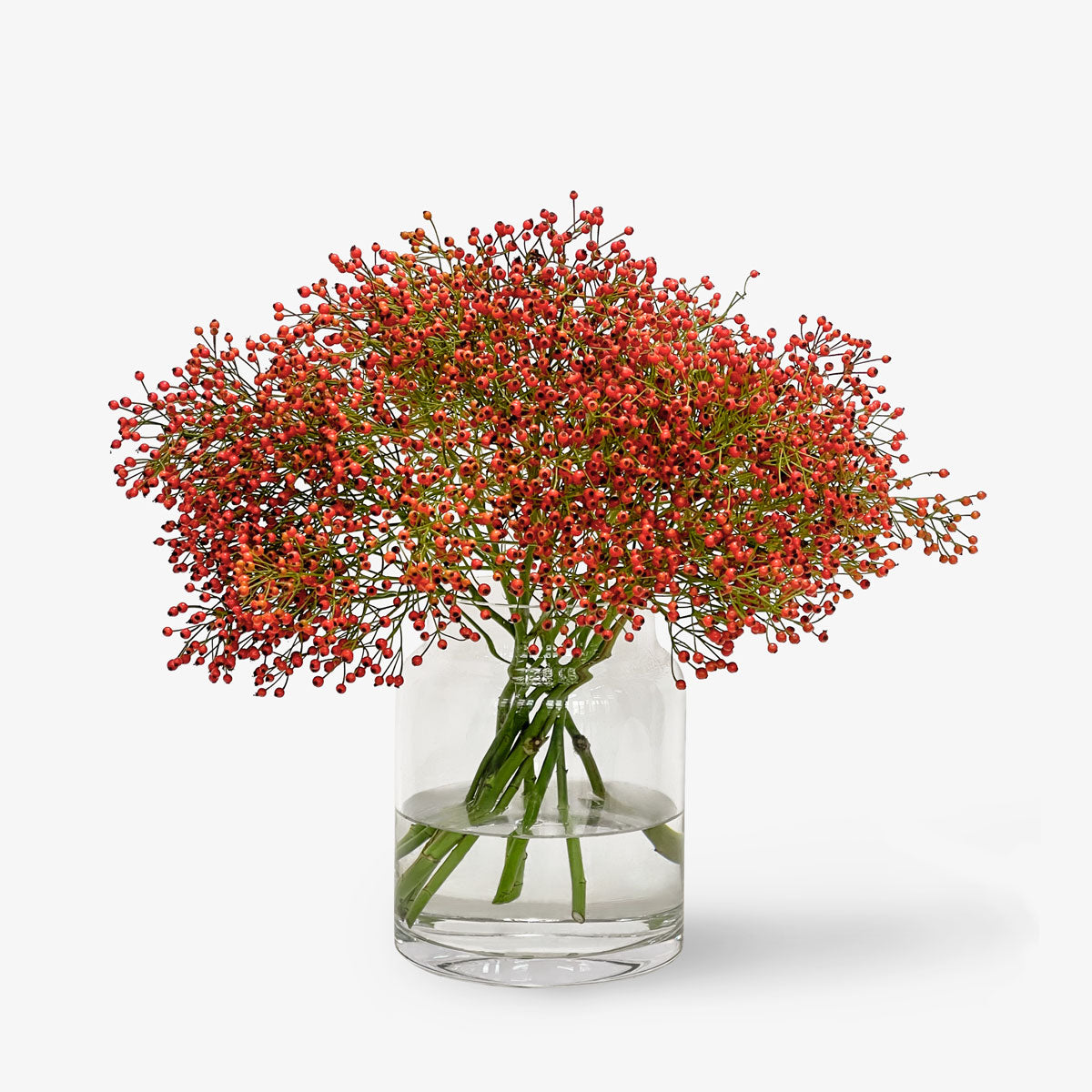 Frische Hagebutten Zweige online kaufen – TOM FLOWERS
