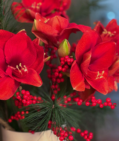 Adventsspecial No.4