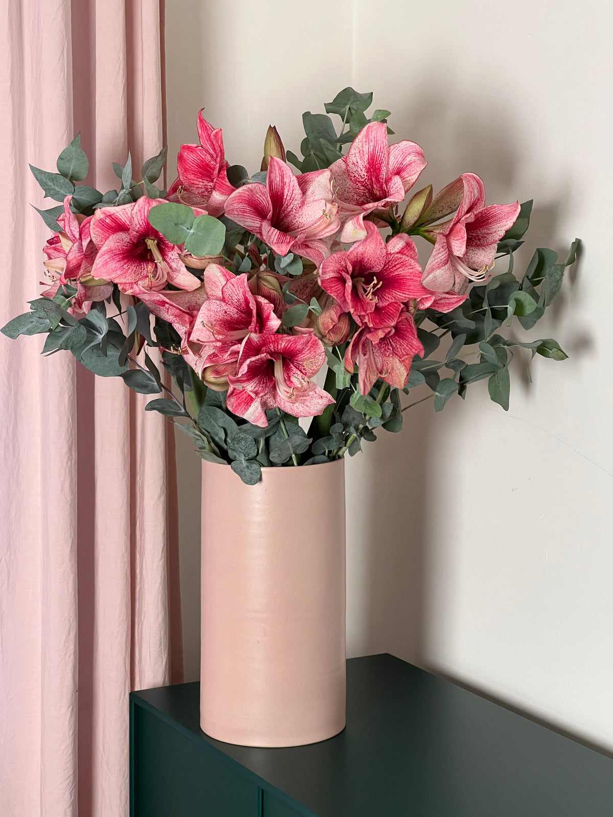 Advent Special No. 1