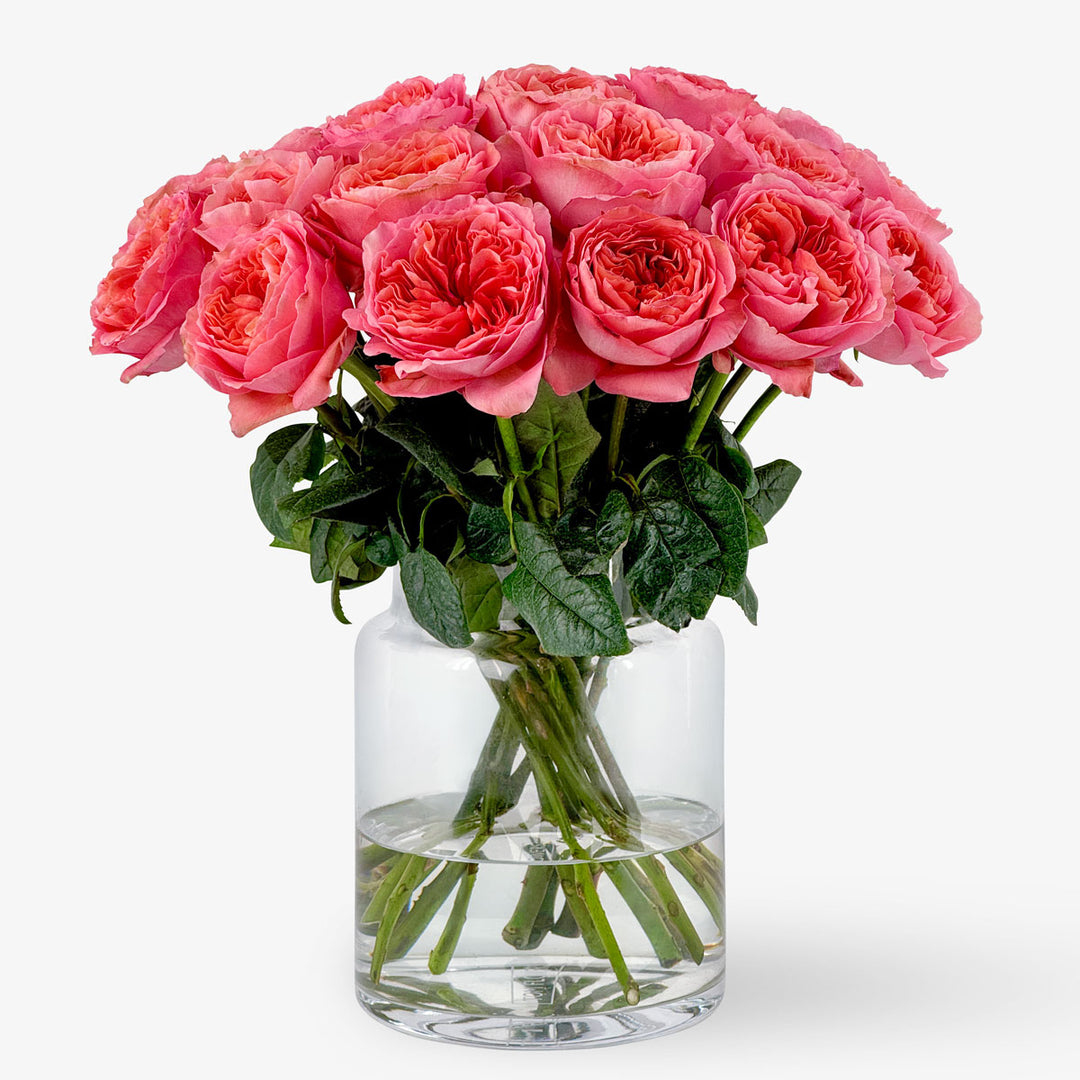 Buy Candy X-Pression roses – Order online now – TOM FLOWERS