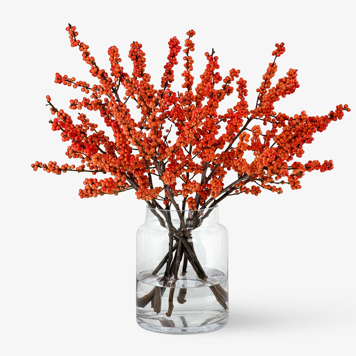 Holly branches winter gold