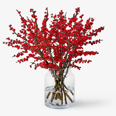 Ilex Zweige rot