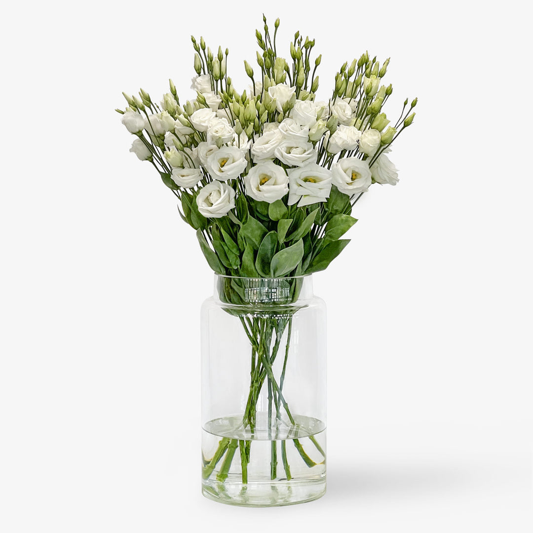 Lisianthus weiss online bestellen und kaufen – TOM FLOWERS
