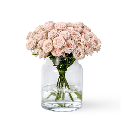 Spray Rosen rosa
