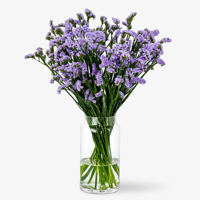 Statizen milka