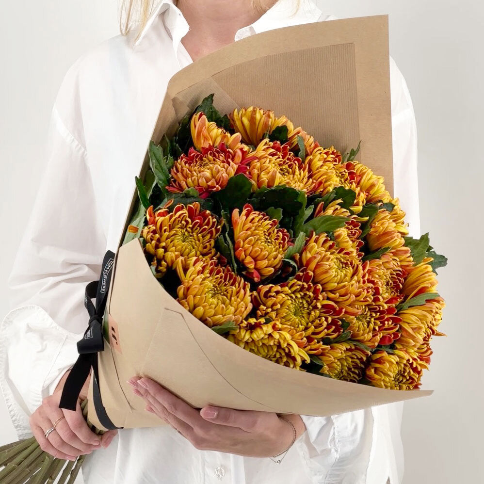 Chrysanthemums lava EXP