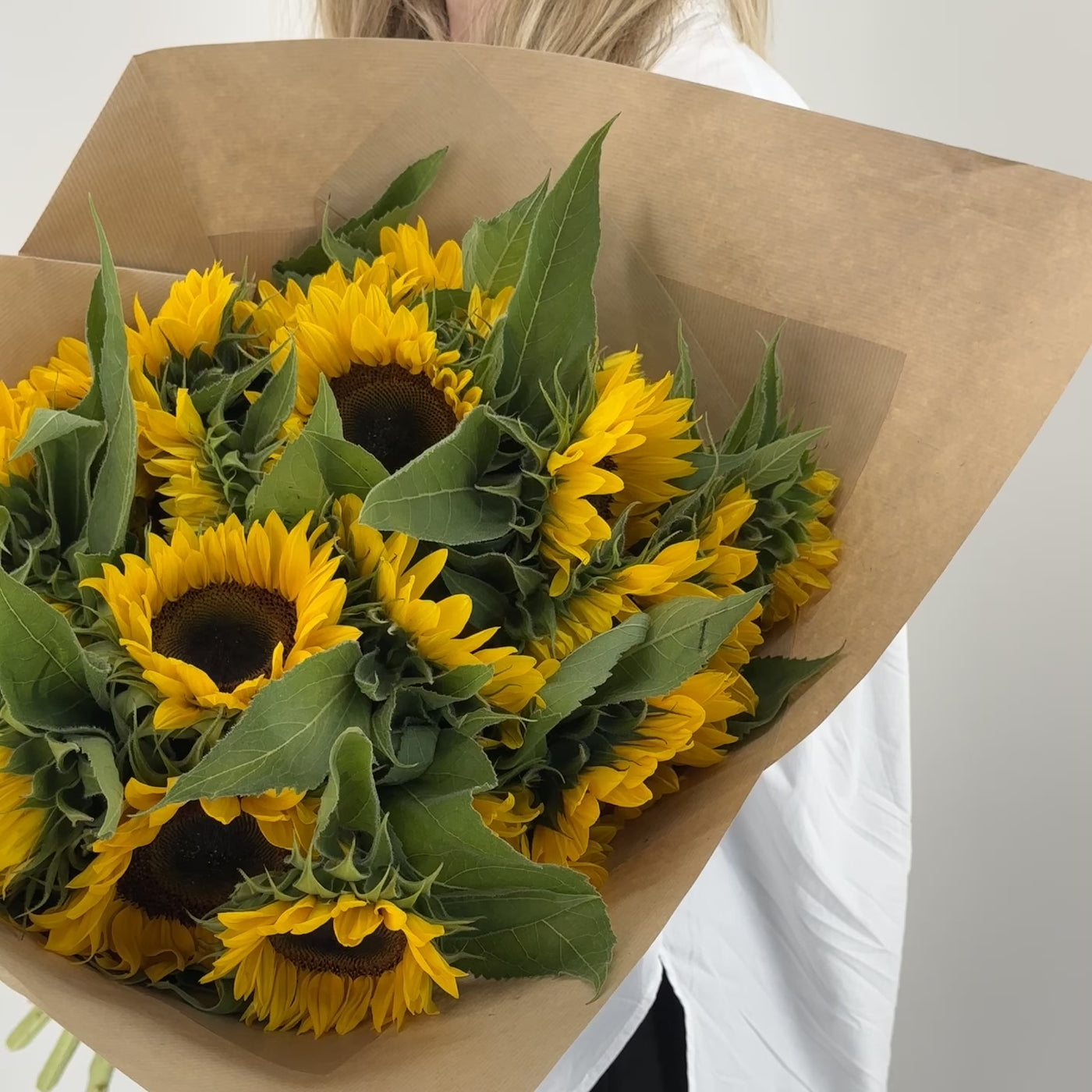 Schweizer Sonnenblumen