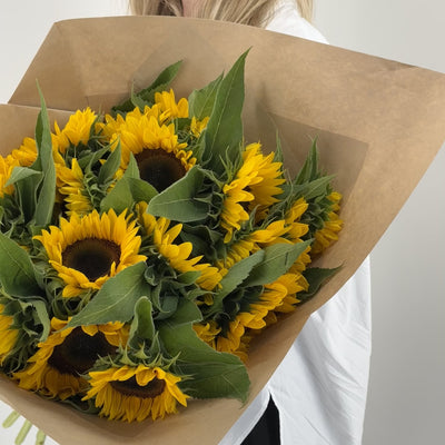 Schweizer Sonnenblumen