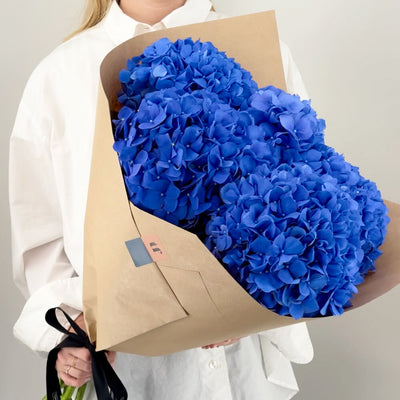 Hortensien blau