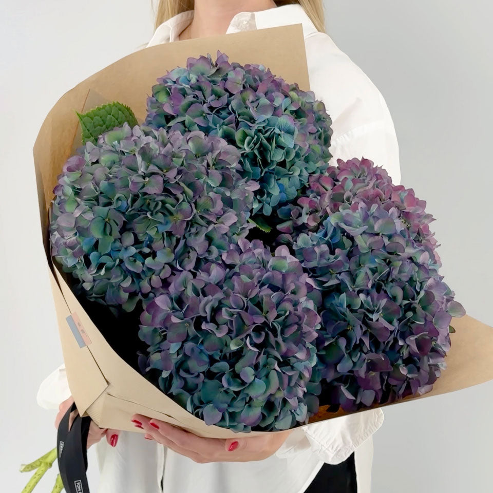 Order hydrangeas online – TOM FLOWERS