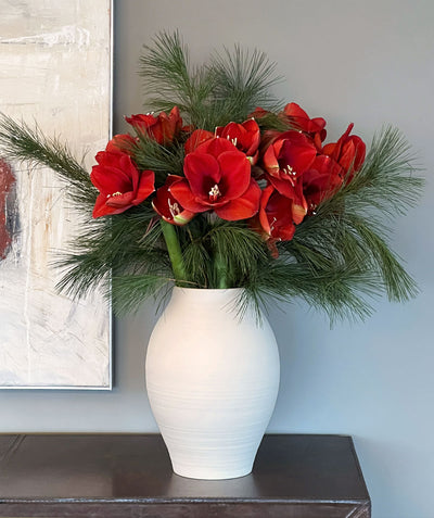 Adventsspecial No.4 Geschenk 2022