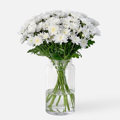 Spray Chrysanthemen weiss
