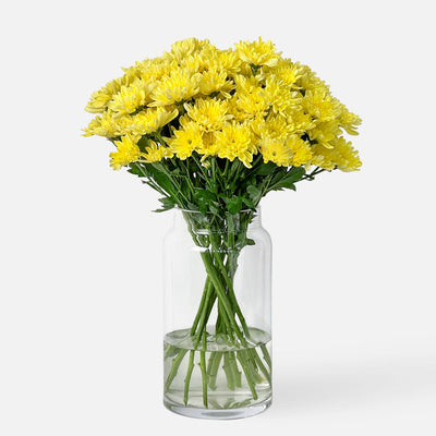Spray Chrysanthemen gelb