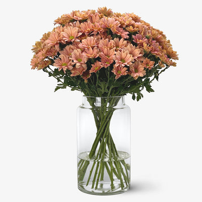 Spray Chrysanthemen lachsrosa