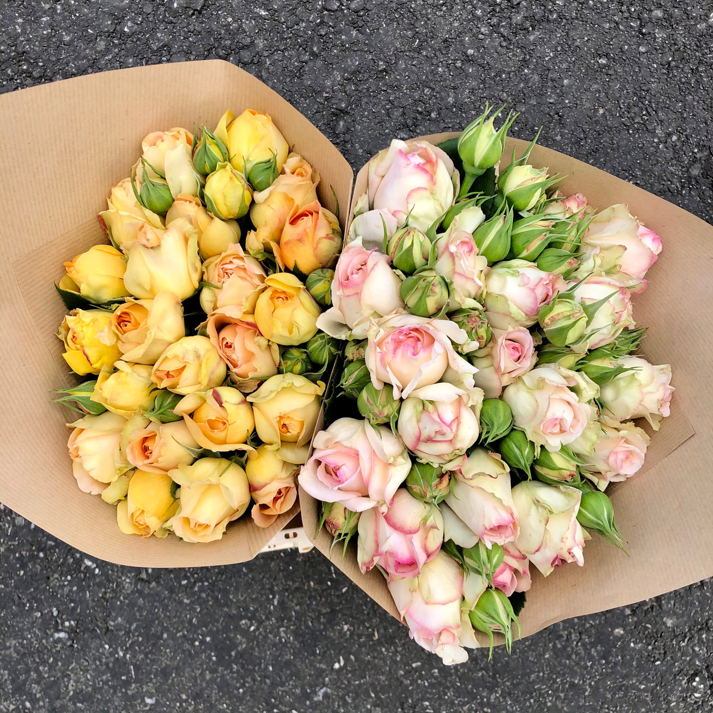 Schweizer Freilandrosen Geschenk