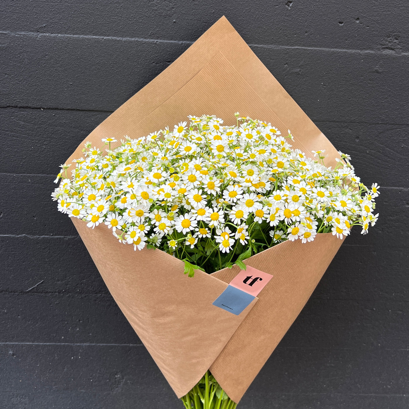 Kamillen Geschenk
