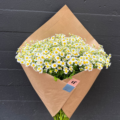 Kamillen Geschenk