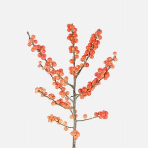 Ilex Zweige winter gold