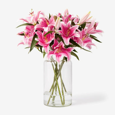 Lilien pink