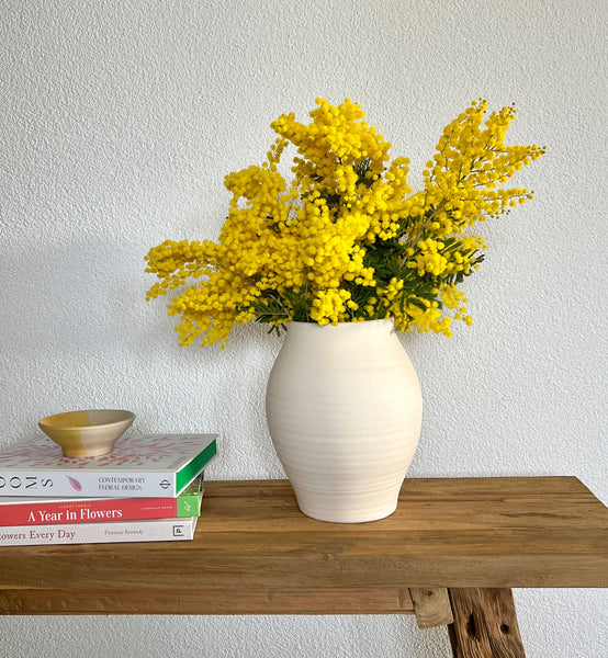 Tagesfrische italienische Mimosen – Jetzt online bestellen – TOM FLOWERS