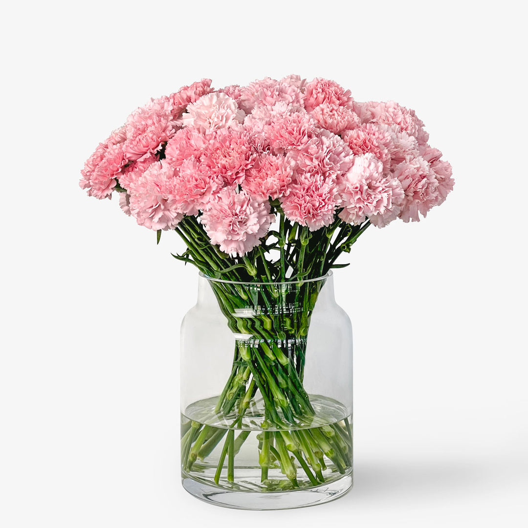Send & gift pink carnations online | Delivery throughout