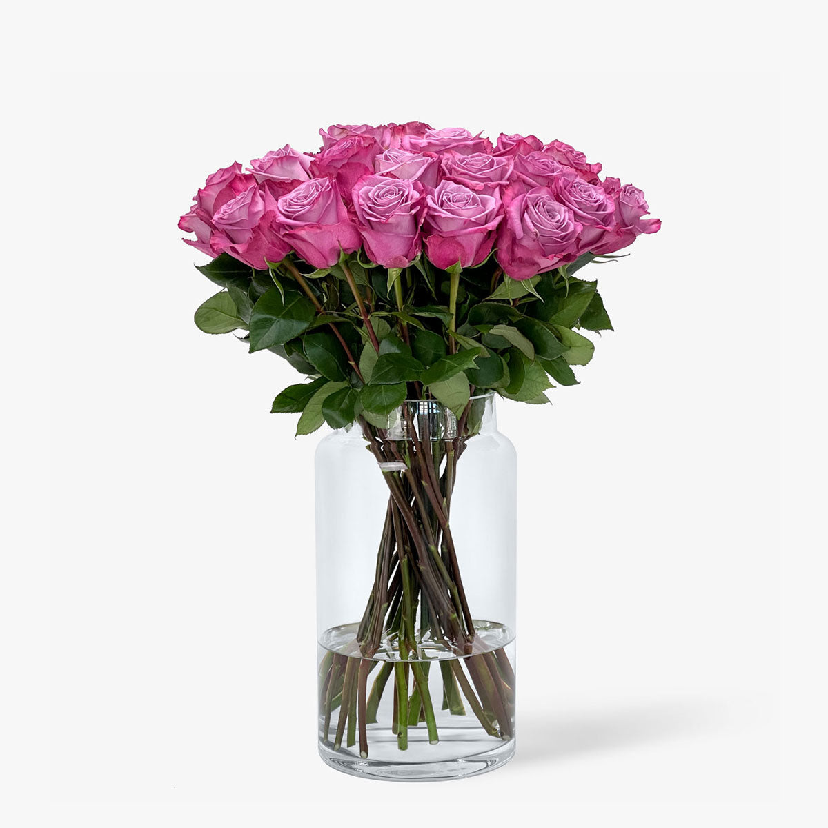 Alt Rosa Rosen Altrosa Rosen online bestellen und kaufen | Schweizweite Lieferung ...
