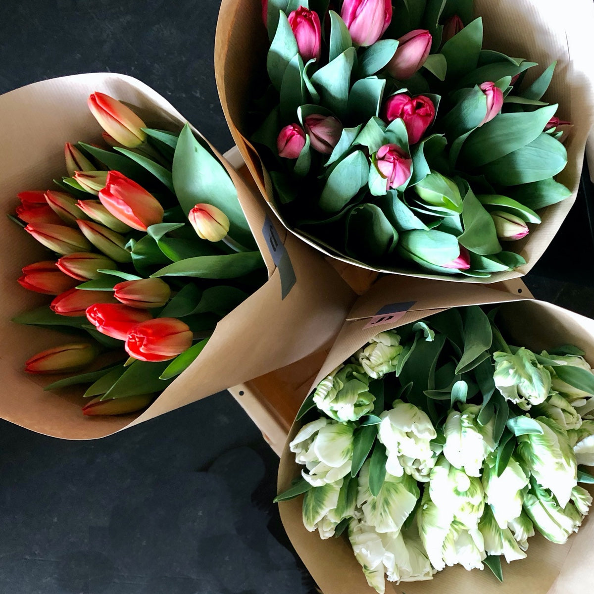 Tulpen Special Bijou