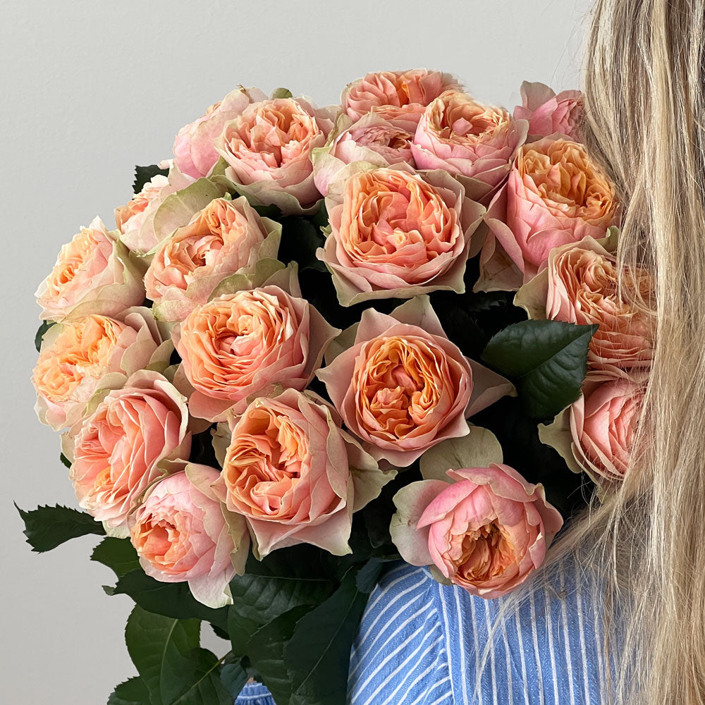 Vuvuzela Rosen lachsrosa