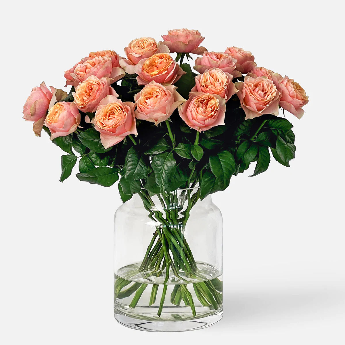 Vuvuzela Rosen lachsrosa