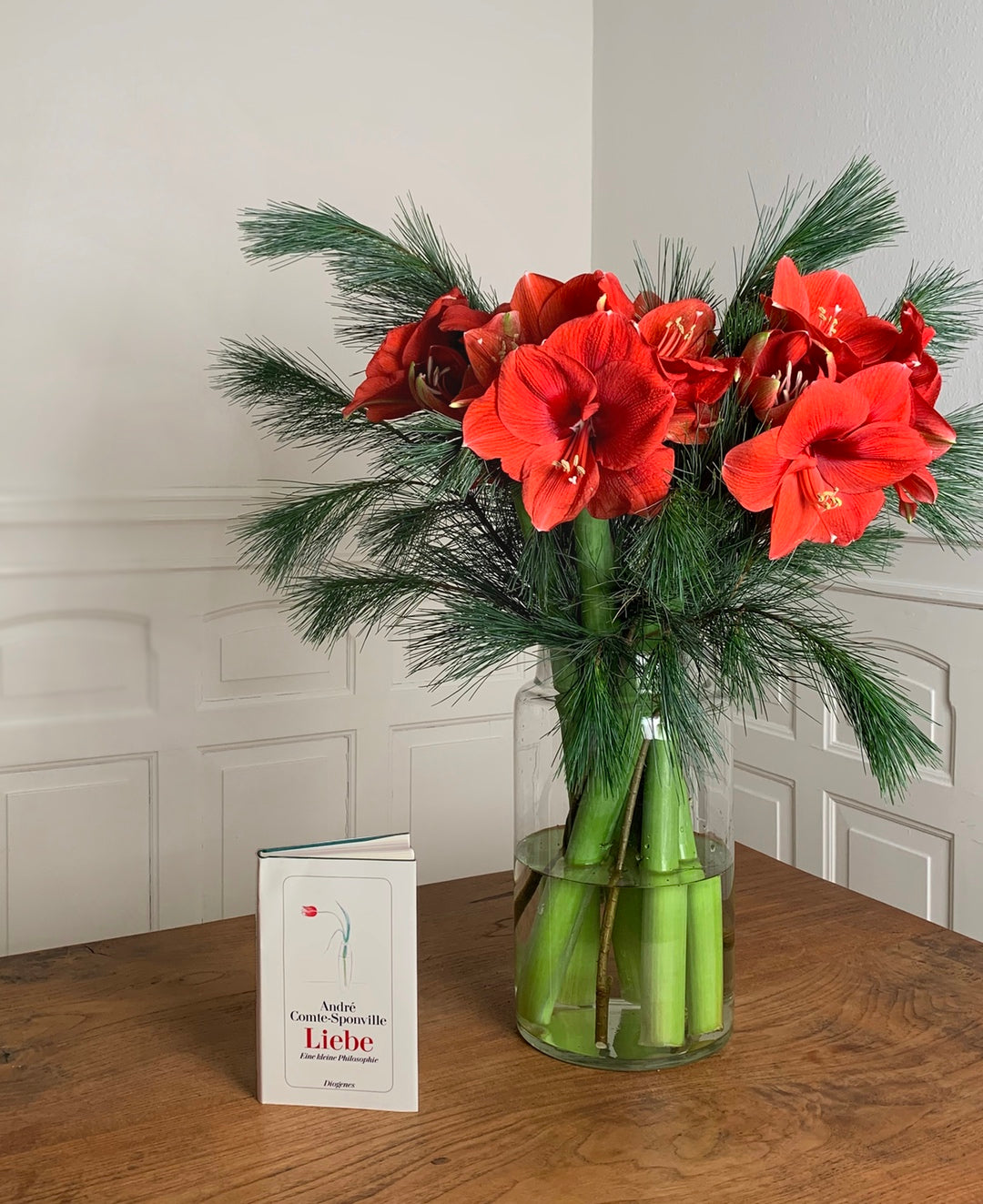 Adventsspecial No.4 – 2019